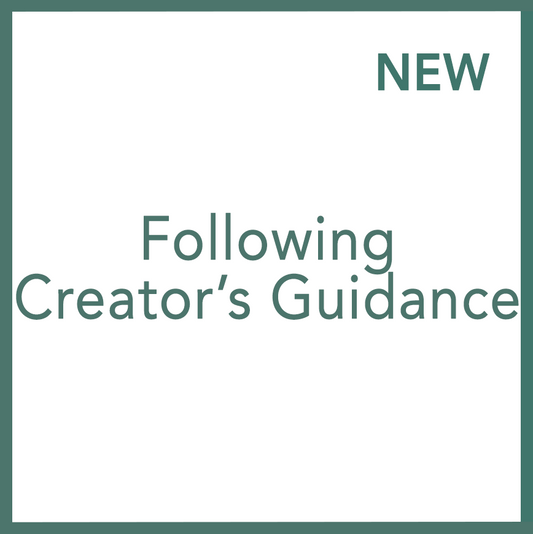 Following Creator’s Guidance - Performed by Nikola Adamović