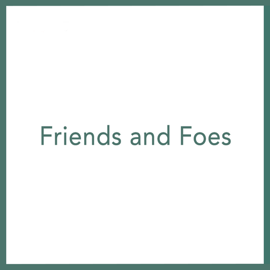 Friends and Foes