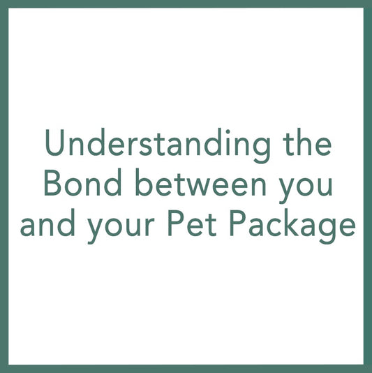 Understanding the Bond between you and your Pet Package - Performed by Nikola Adamović