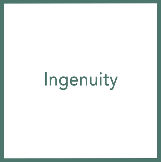 Ingenuity - Performed by Nikola Adamović