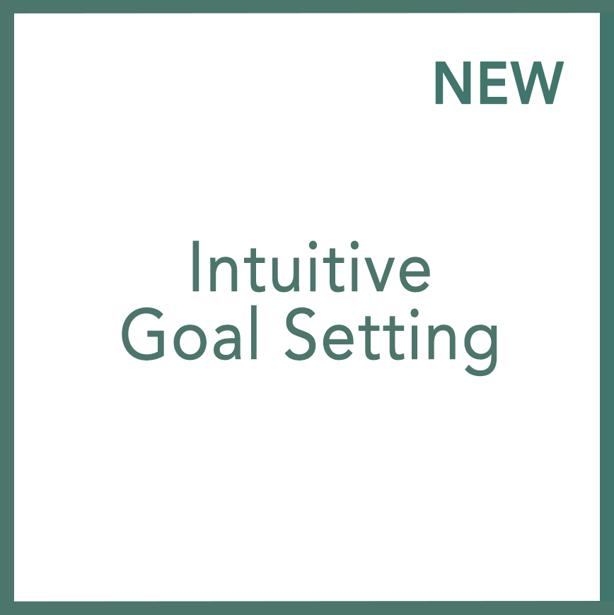 Intuitive Goal Setting - Performed by Nikola Adamović
