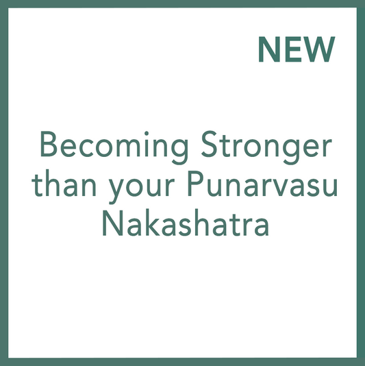 變得比你的不奈婆修月宿更強大 - 尼可拉.亞當摩維屈執行