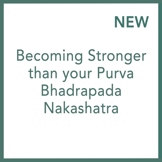 變得比你的弗婆跋陀羅缽柁月宿更強大 - 尼可拉.亞當摩維屈執行