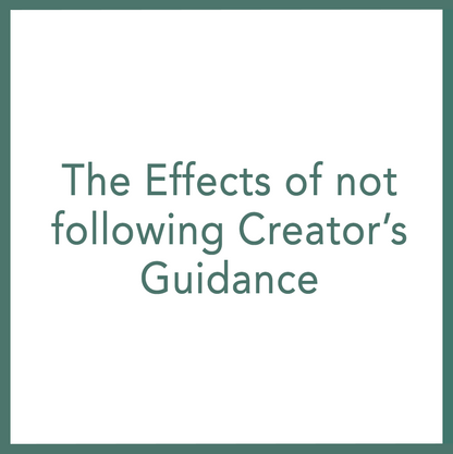The Effects of not following Creator’s Guidance