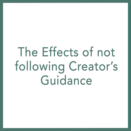 The Effects of not following Creator’s Guidance