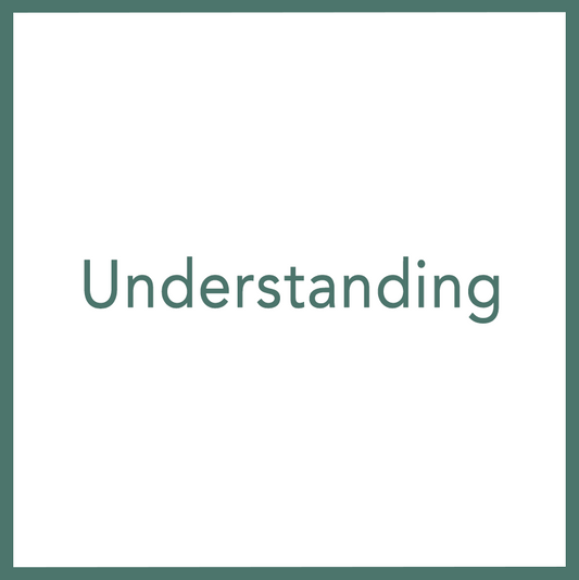 Understanding - Performed by Nikola Adamović