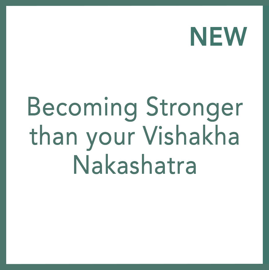 變得比你的毗釋珂月宿更強大 - 尼可拉.亞當摩維屈執行