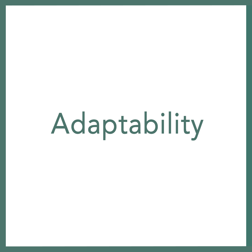 Adaptability - Performed by Nikola Adamović