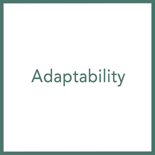 Adaptability - Performed by Nikola Adamović