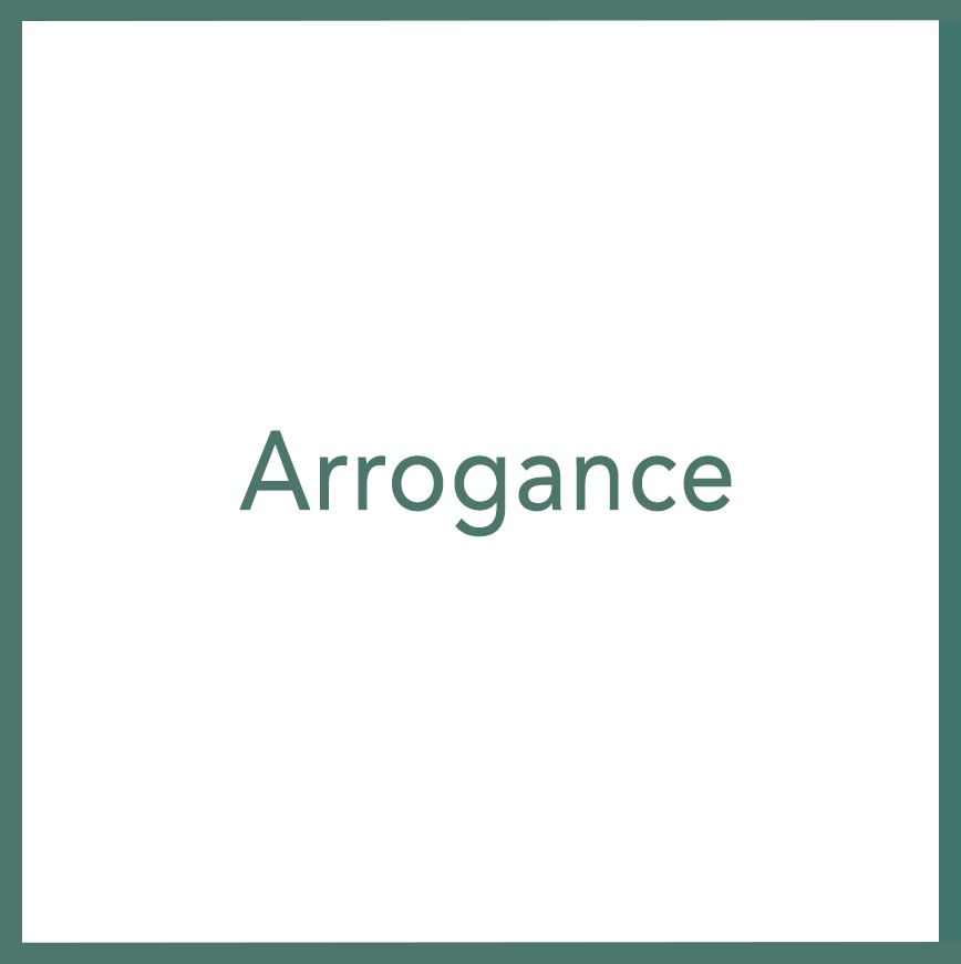 Arrogance - Performed by Nikola Adamović