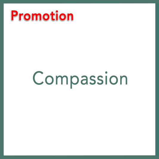 Compassion - Performed by Nikola Adamović
