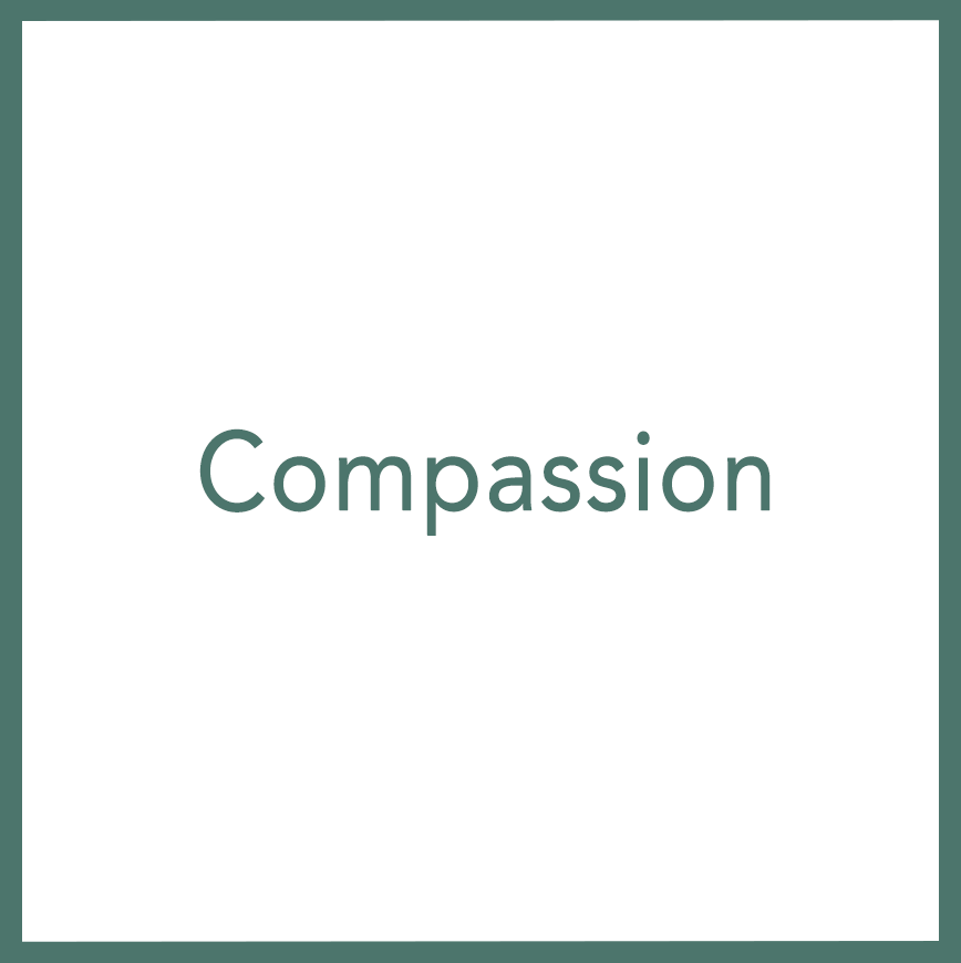 Compassion - Performed by Nikola Adamović