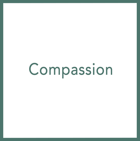 Compassion - Performed by Nikola Adamović