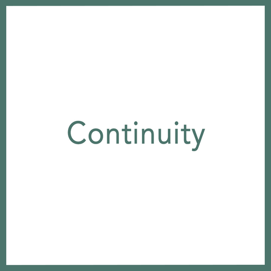 Continuity - Performed by Nikola Adamović