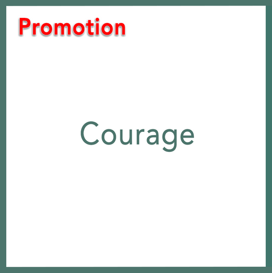 Courage - Performed by Nikola Adamović