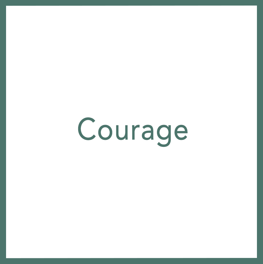 Courage - Performed by Nikola Adamović