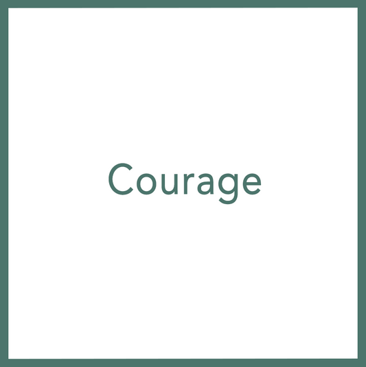 Courage - Performed by Nikola Adamović
