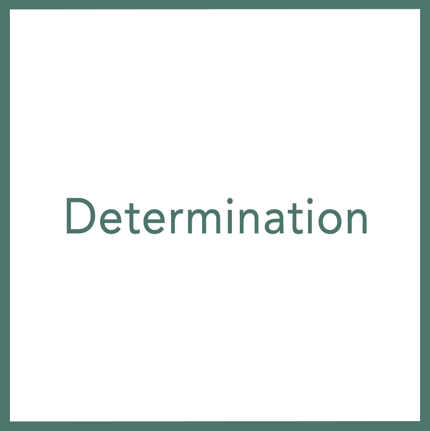 Determination