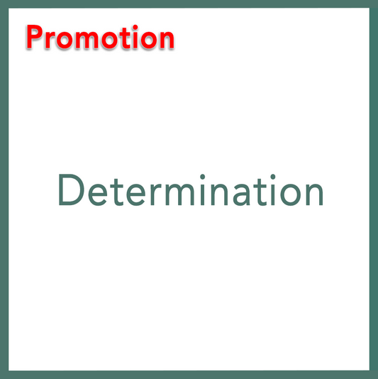Determination - Performed by Nikola Adamović