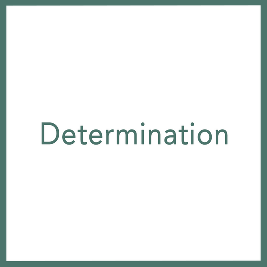 Determination - Performed by Nikola Adamović