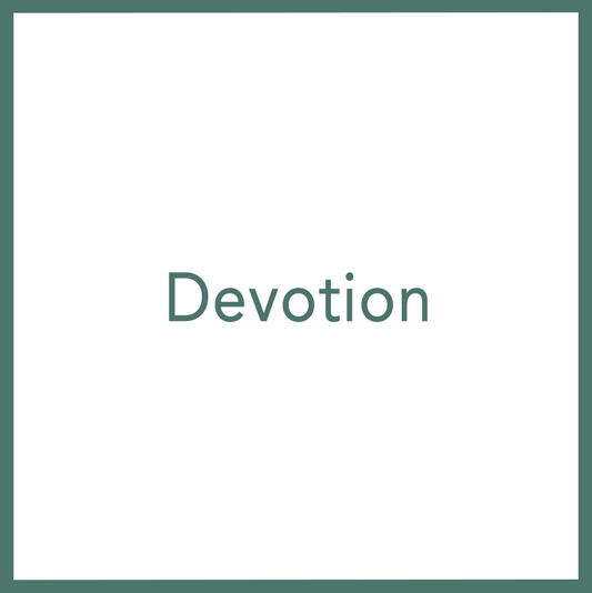 Devotion - Performed by Nikola Adamović