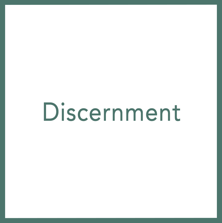 Discernment - Performed by Nikola Adamović