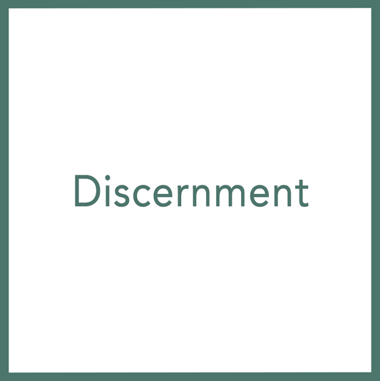 Discernment - Performed by Nikola Adamović