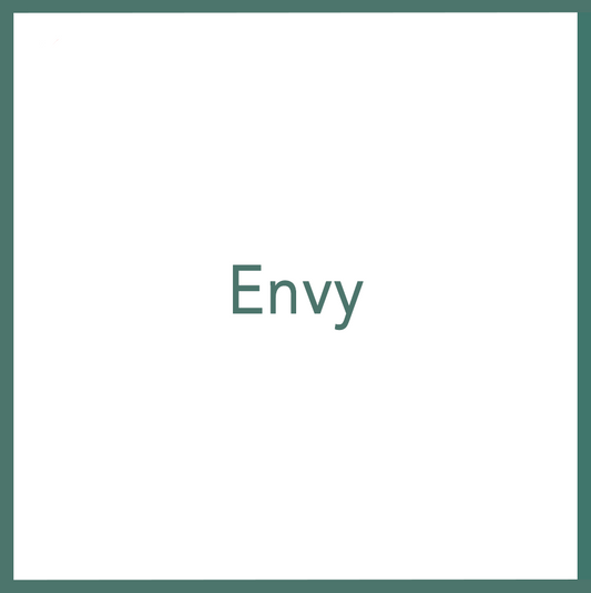 Envy - Performed by Nikola Adamović