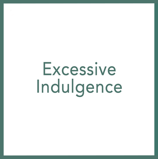 Excessive Indulgence - Performed by Nikola Adamović