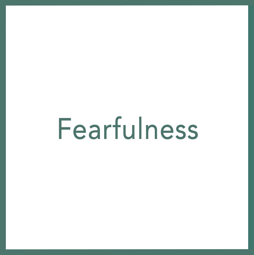 Fearfulness - Performed by Nikola Adamović