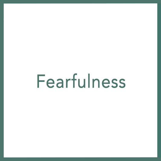 Fearfulness - Performed by Nikola Adamović