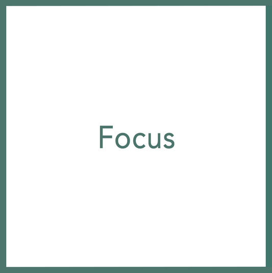 Focus - Performed by Nikola Adamović