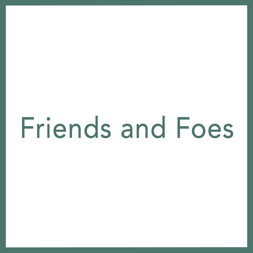 Friends and Foes