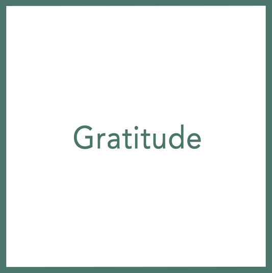 Gratitude - Performed by Nikola Adamović