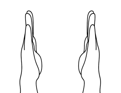 Palmistry - Performed by Nikola Adamović