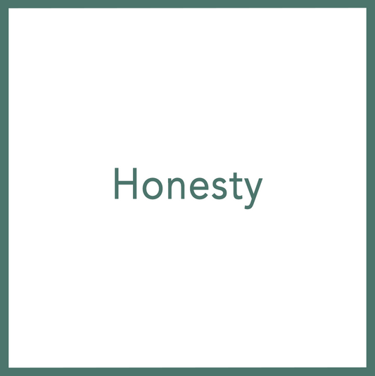 Honesty - Performed by Nikola Adamović
