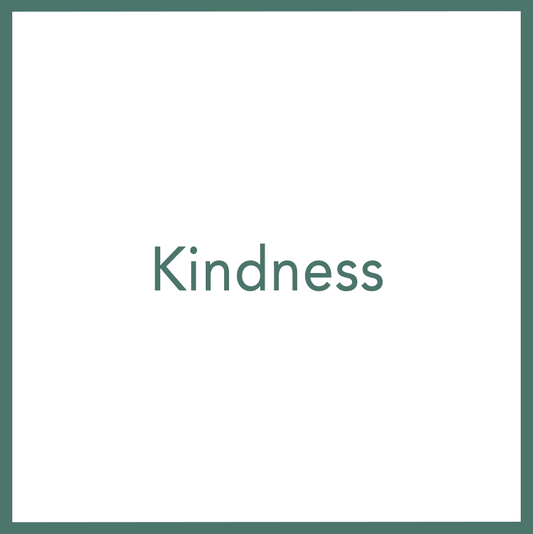 Kindness - Performed by Nikola Adamović