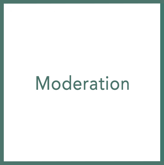 Moderation - Performed by Nikola Adamović