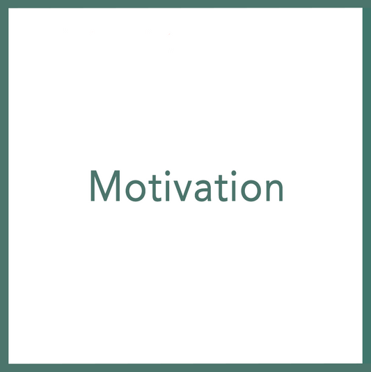 Motivation - Performed by Nikola Adamović