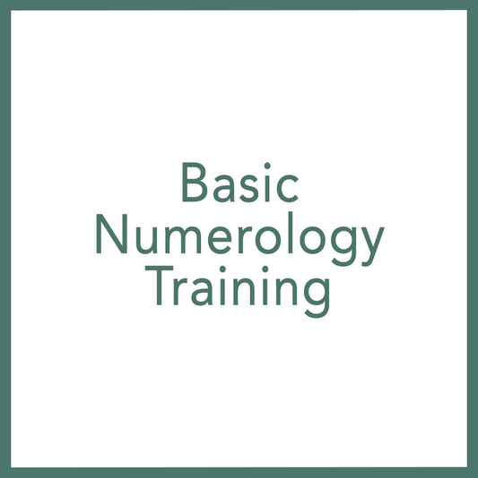 Basic Numerology Training - Performed by Nikola Adamović
