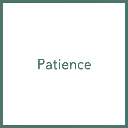 Patience - Performed by Nikola Adamović