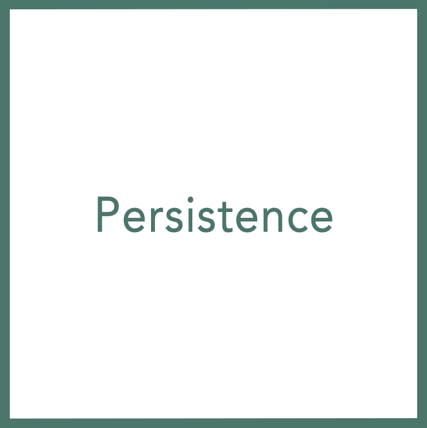 Persistence