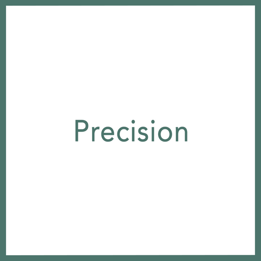 Precision - Performed by Nikola Adamović