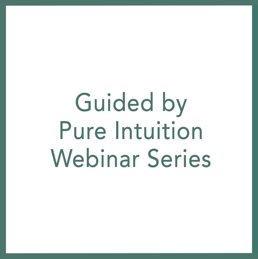 Guided by Pure Intuition – Webinar Series