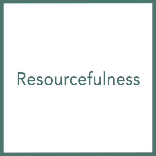 Resourcefulness - Performed by Nikola Adamović