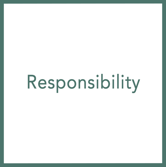 Responsibility - Performed by Nikola Adamović