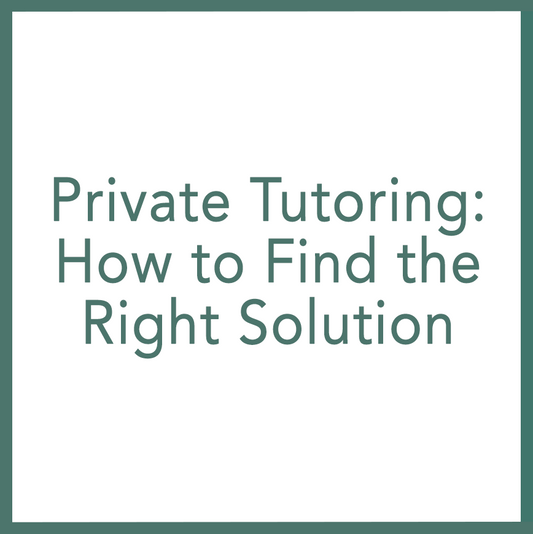 Private Tutoring: How to Find the Right Solution - Performed by Nikola Adamović