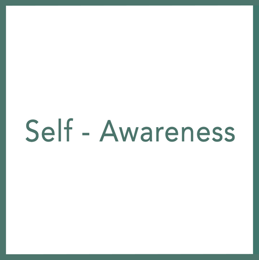 Self - Awareness - Performed by Nikola Adamović