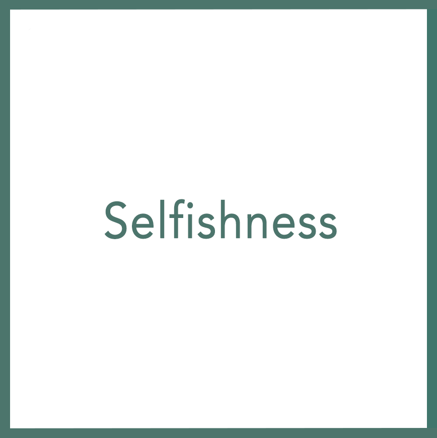 Selfishness - Performed by Nikola Adamović