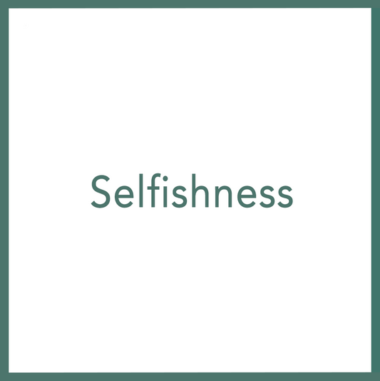 Selfishness - Performed by Nikola Adamović